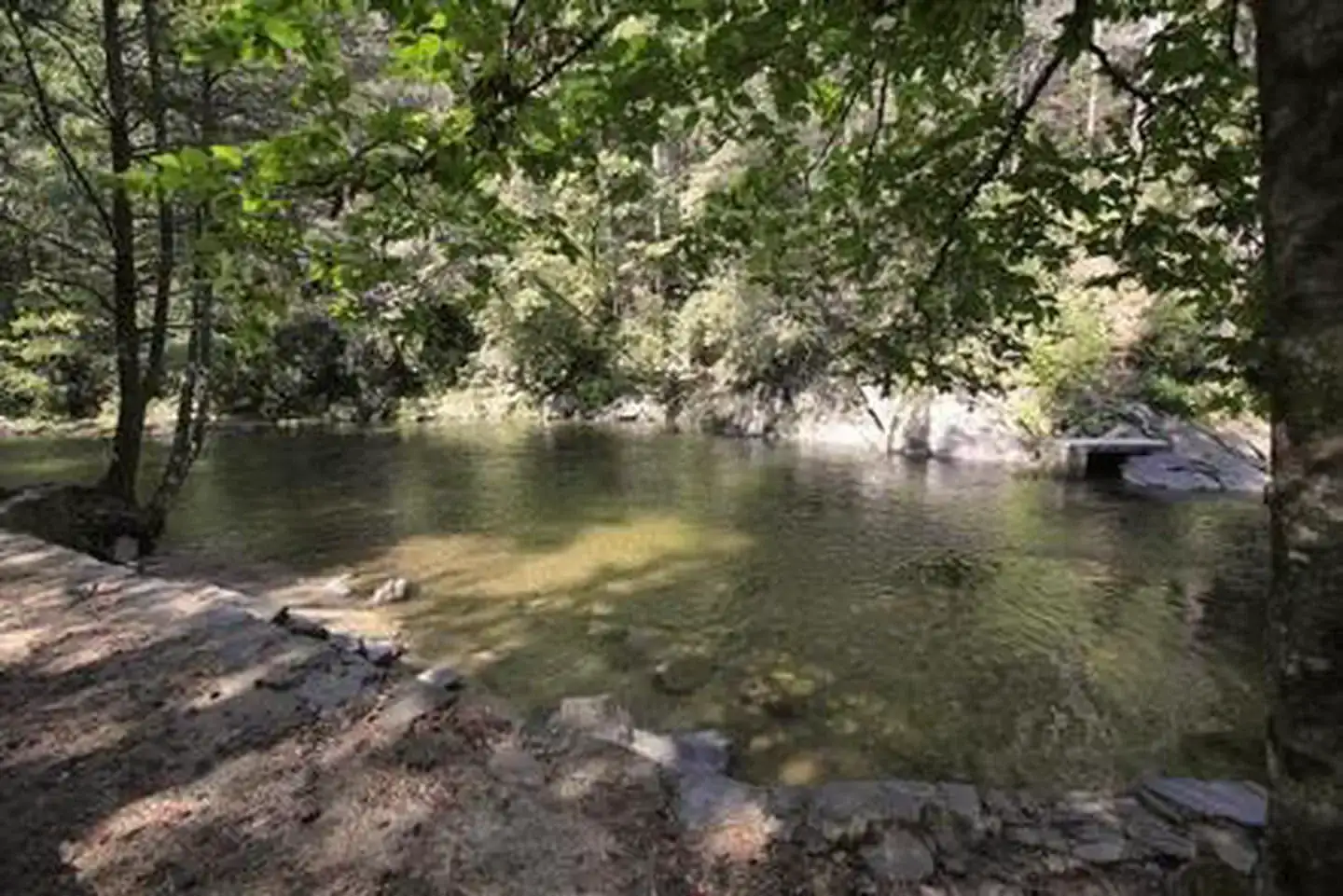 Camper-submitted photo at Davidson River Campground near Canton, NC