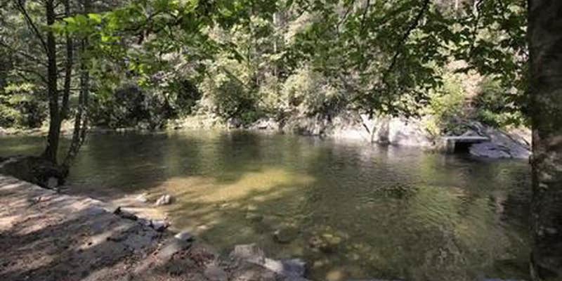 Camper submitted image from Davidson River Campground