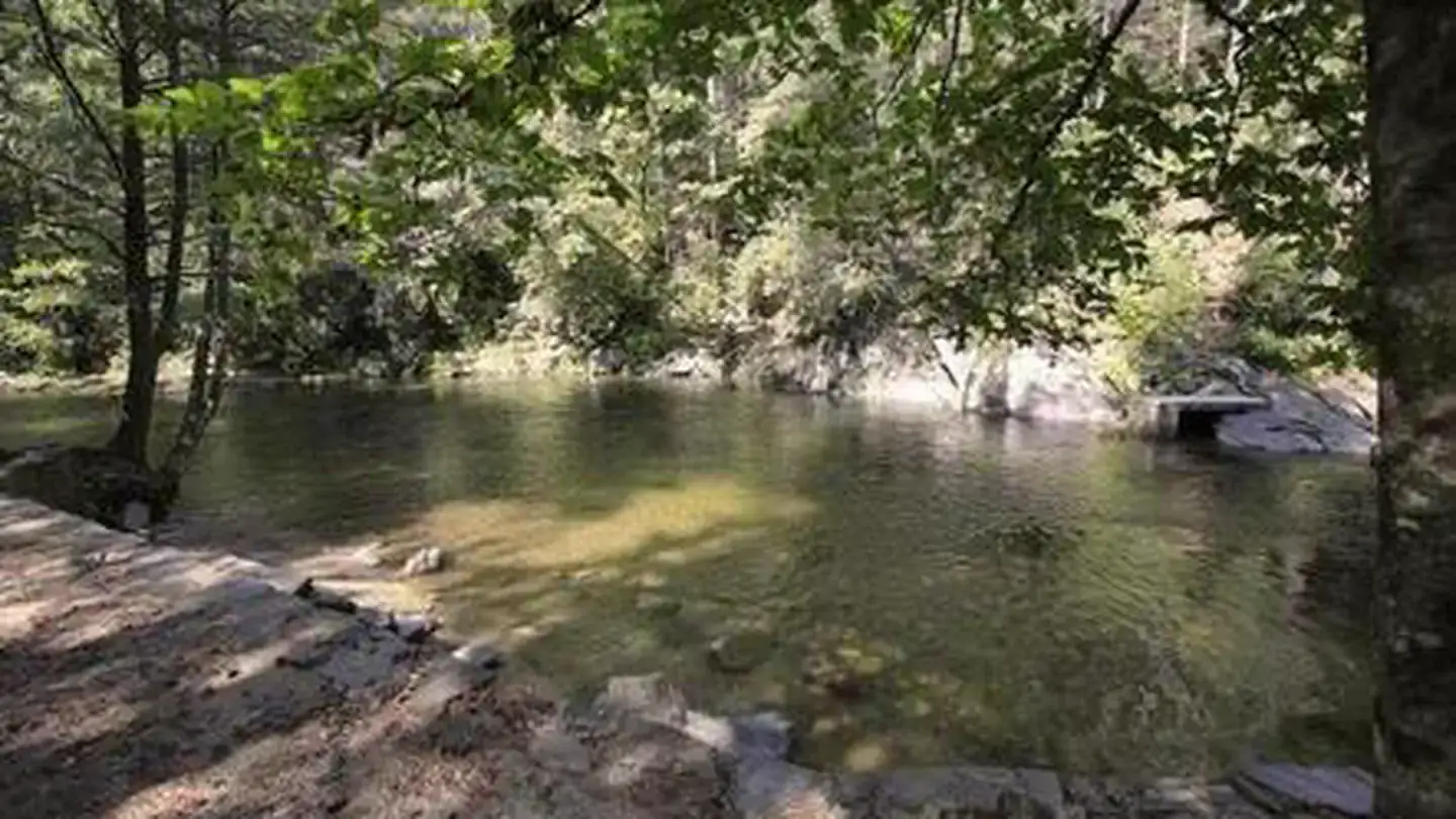 Camper-submitted photo at Davidson River Campground near Canton, NC