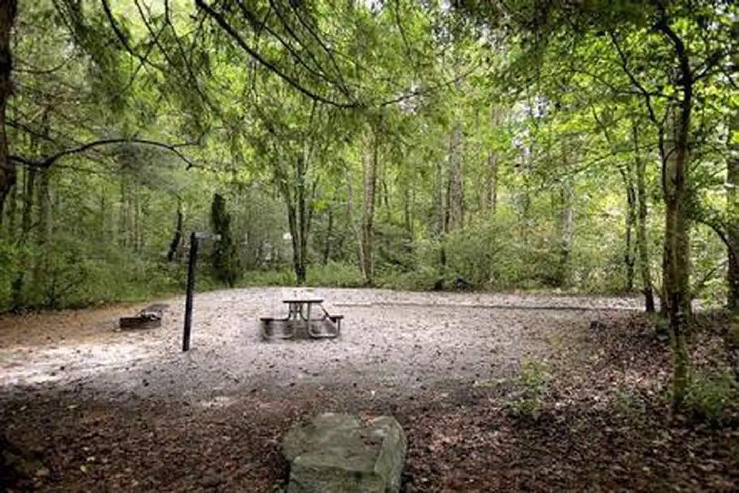 Camper-submitted photo at Davidson River Campground near Canton, NC