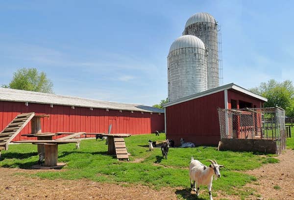 Camper submitted image from Thousand Trails Gettysburg Farm - 4