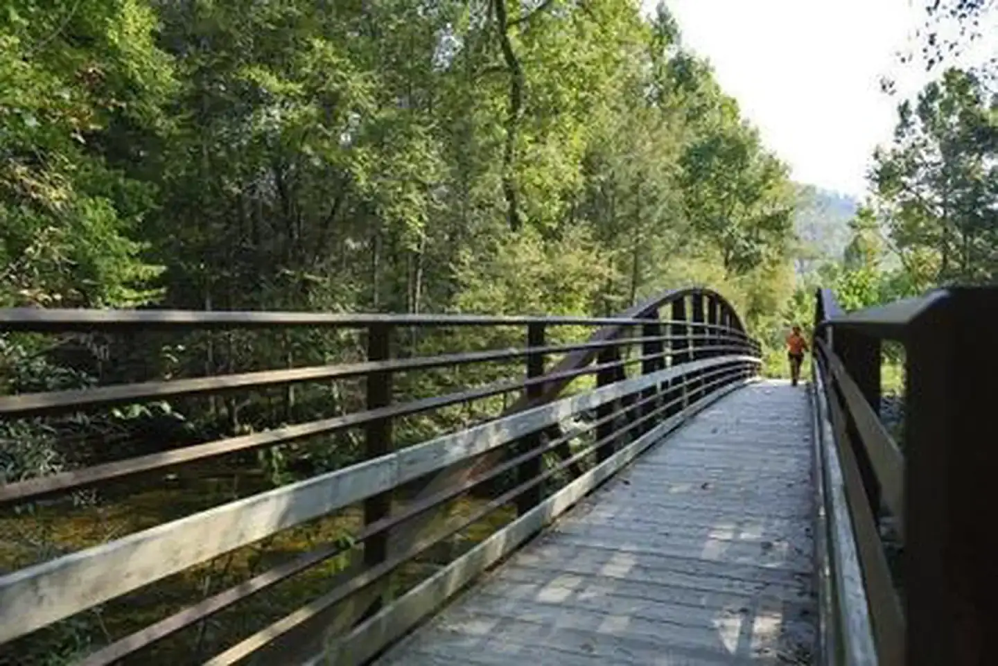 Camper-submitted photo at Davidson River Campground near Canton, NC