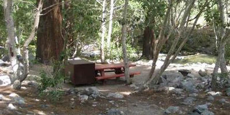 Camper submitted image from Upper Sage Flat Campground