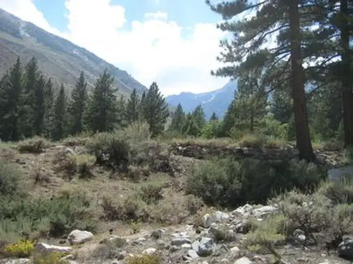 Camper-submitted photo at Upper Sage Flat Campground near Big Pine, CA