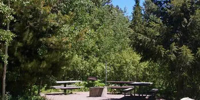 Camper submitted image from Big Springs - Caribou