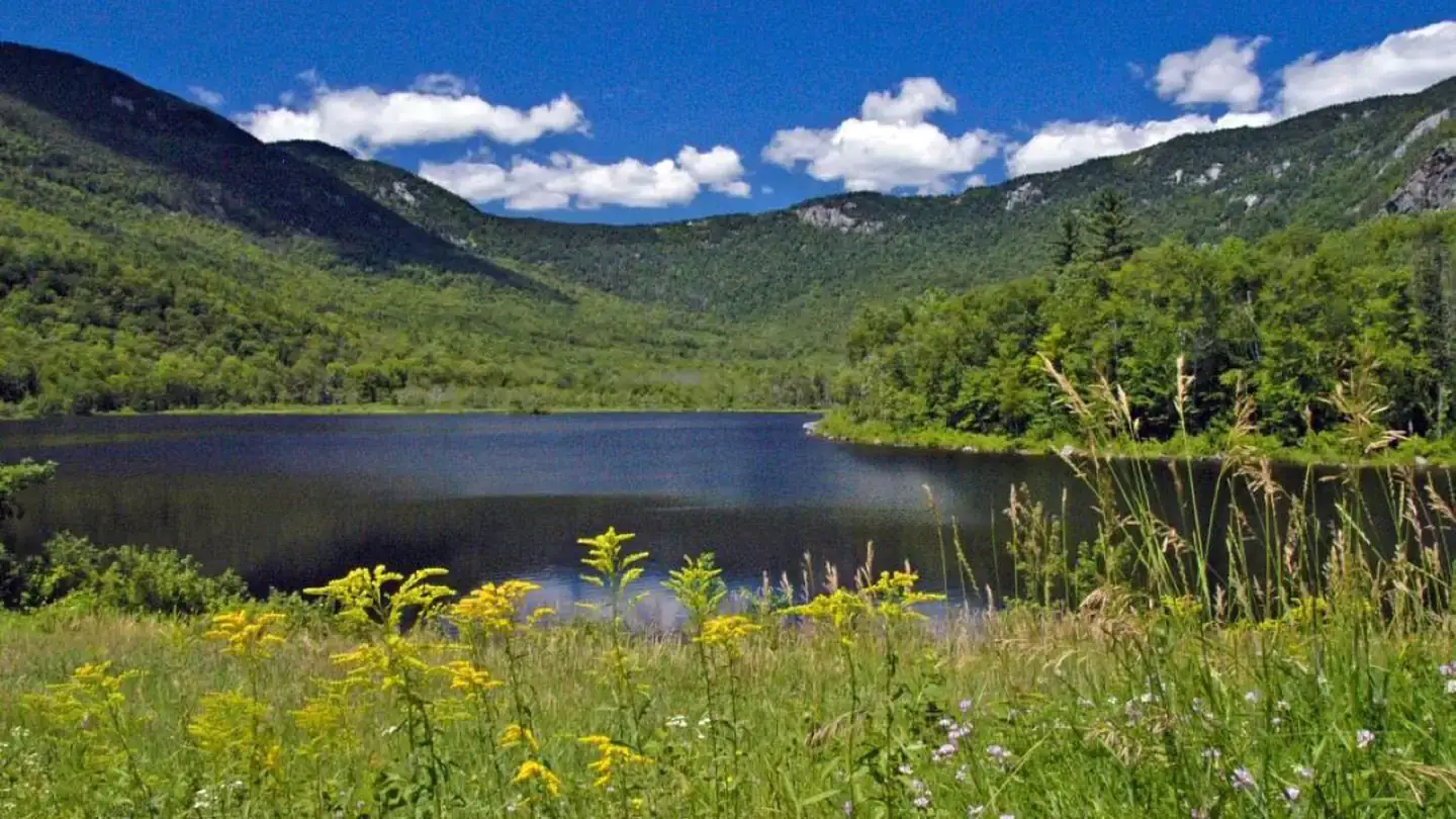 Camping near Papoose Pond Family Campground and Cabins: Basin Campground, Chatham, New Hampshire