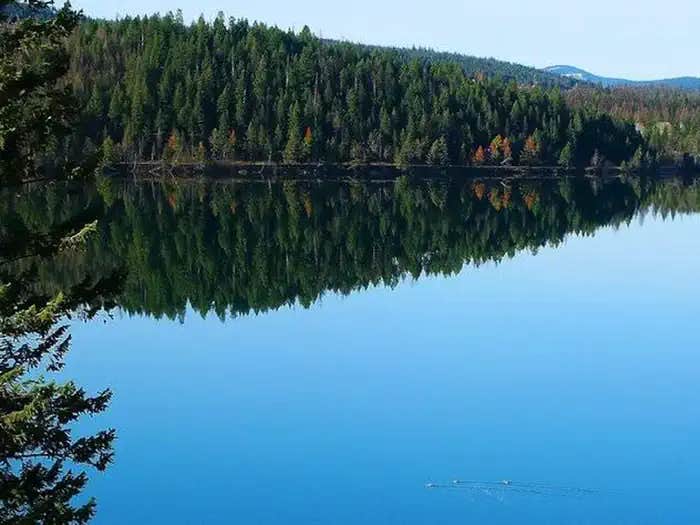 Camper submitted image from Kootenai National Forest North Dickey Lake Campground - 1