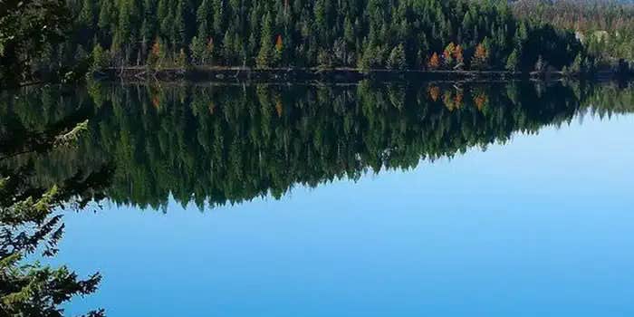 Camper submitted image from Kootenai National Forest North Dickey Lake Campground