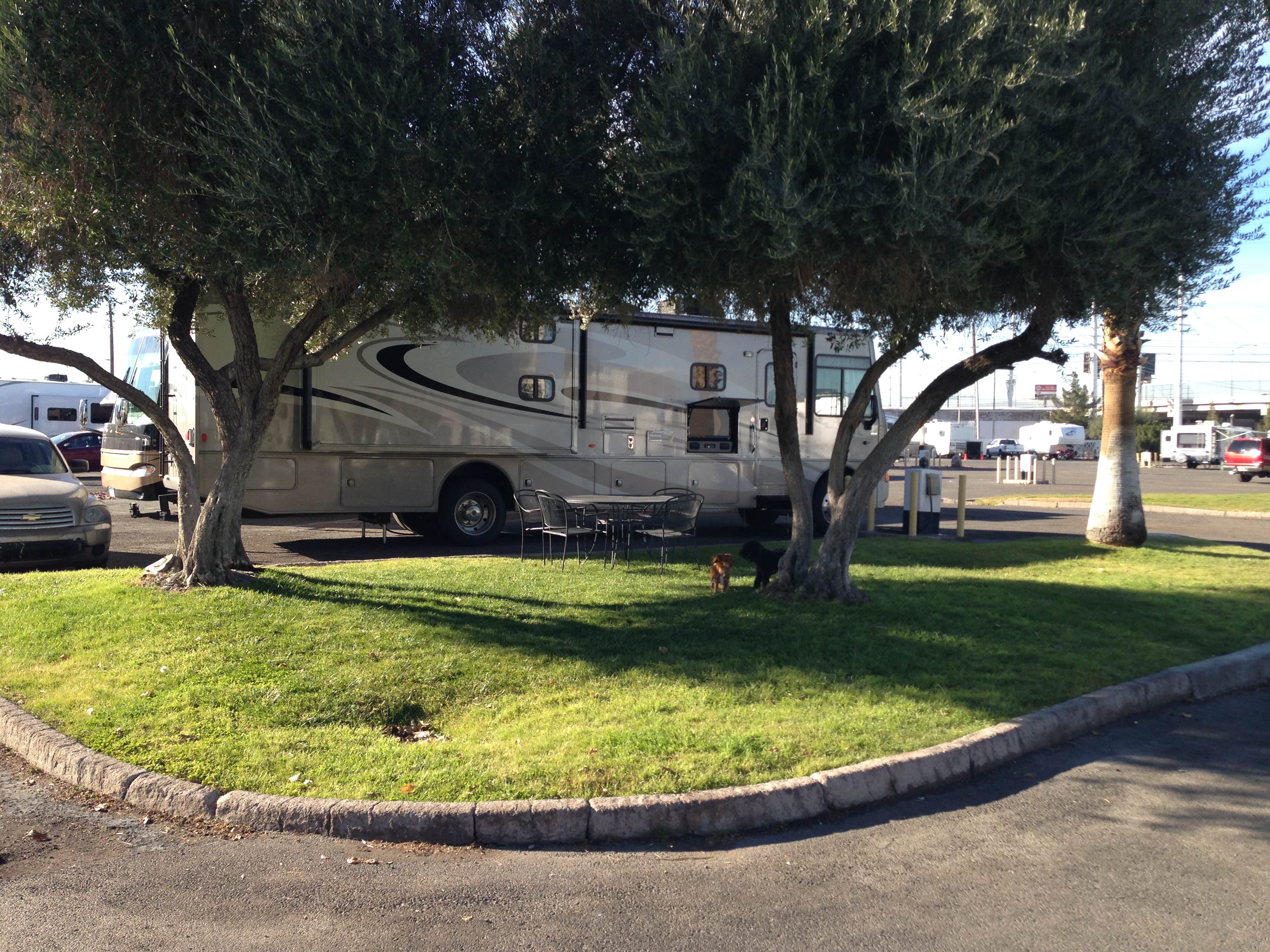 Camper submitted image from Circus Circus RV Park - 3