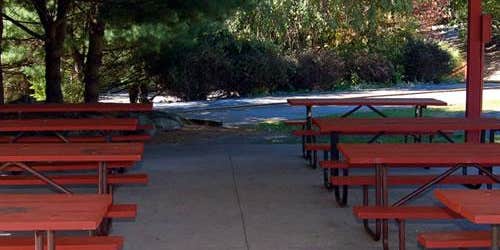 Camper submitted image from Thousand Trails Scotrun