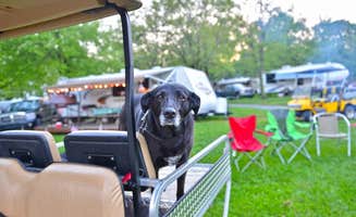 The Dyrt's photo of camping with pets at Spring Gulch Resort Campground near Newark, DE