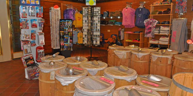 Camper submitted image from Thousand Trails Timothy Lake North