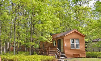 The Dyrt's photo of a cabin at Thousand Trails Timothy Lake South near Martins Creek, PA
