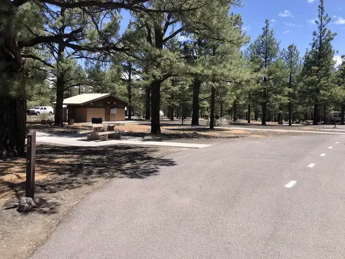 Camper-submitted photo at Bonito Campground — Sunset Crater National Monument near Gray Mountain, AZ