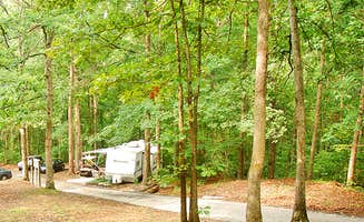 The Dyrt's photo at Thousand Trails Carolina Landing near Hartwell Lake