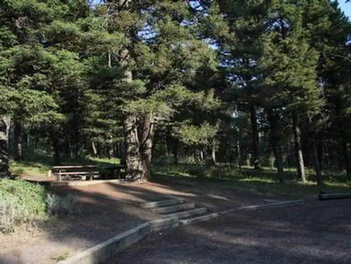 Camper submitted image from Stoddard Creek Campground - 1