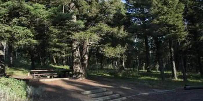 Camper submitted image from Stoddard Creek Campground