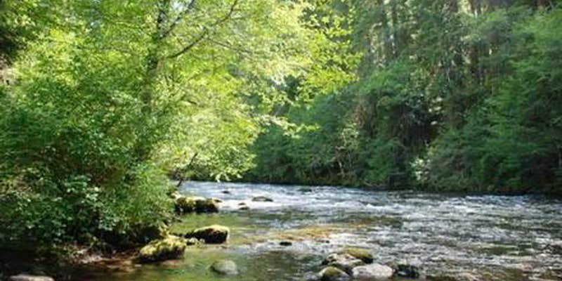 Camper submitted image from Riverside at Detroit Campground