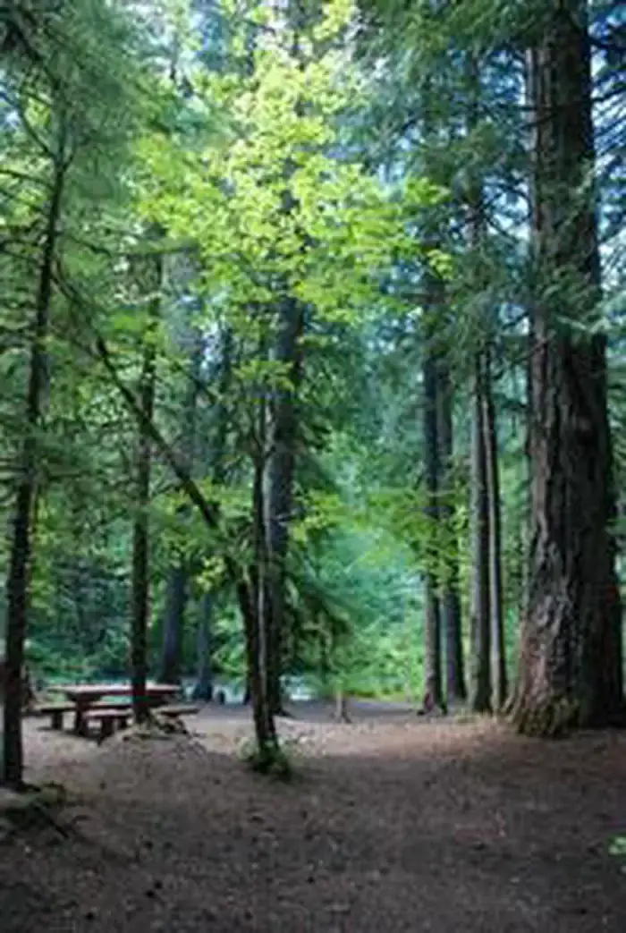 Camper-submitted photo at Riverside at Detroit Campground near Idanha, OR