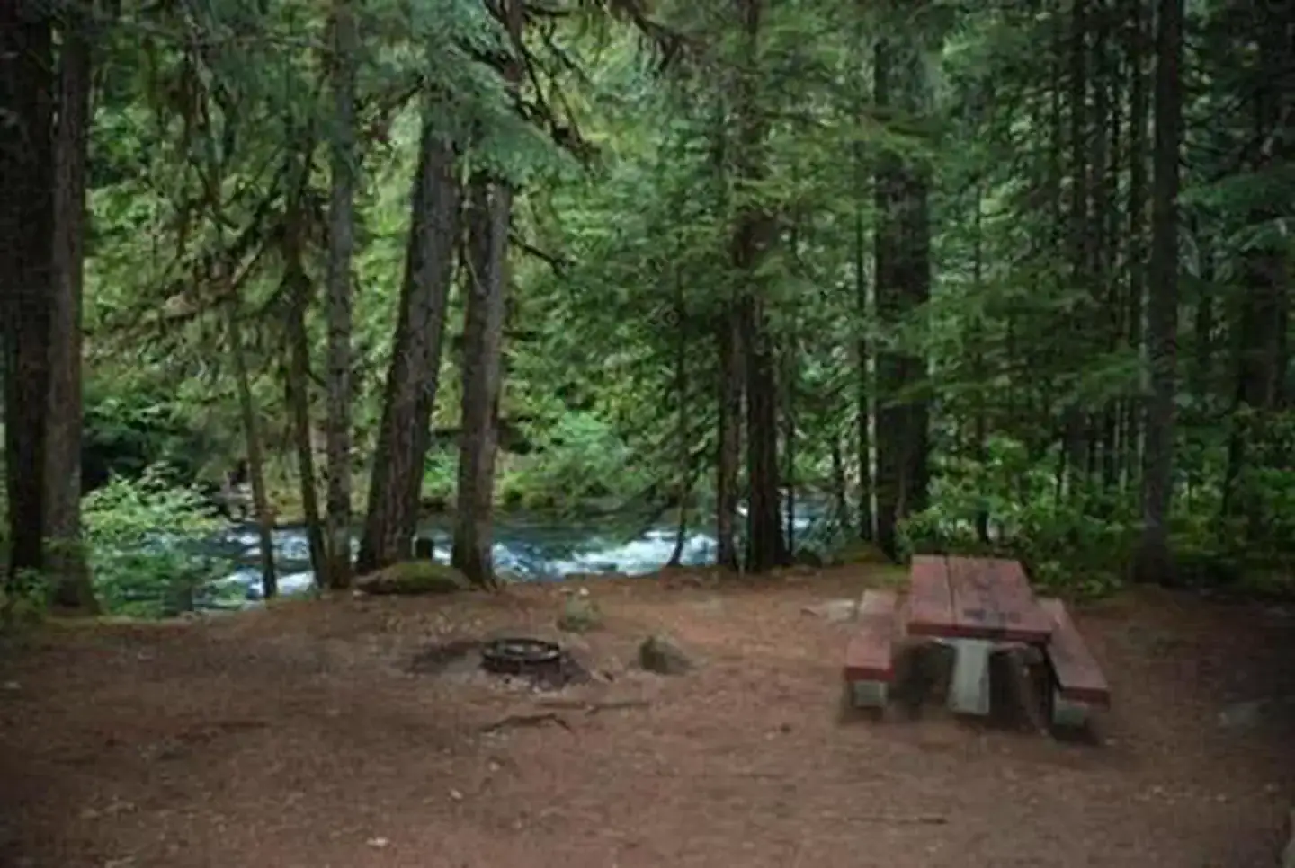 Camper-submitted photo at Riverside at Detroit Campground near Idanha, OR
