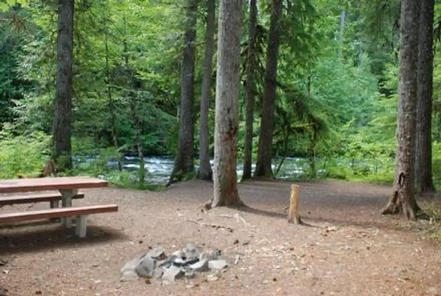 Camper-submitted photo at Riverside at Detroit Campground near Idanha, OR
