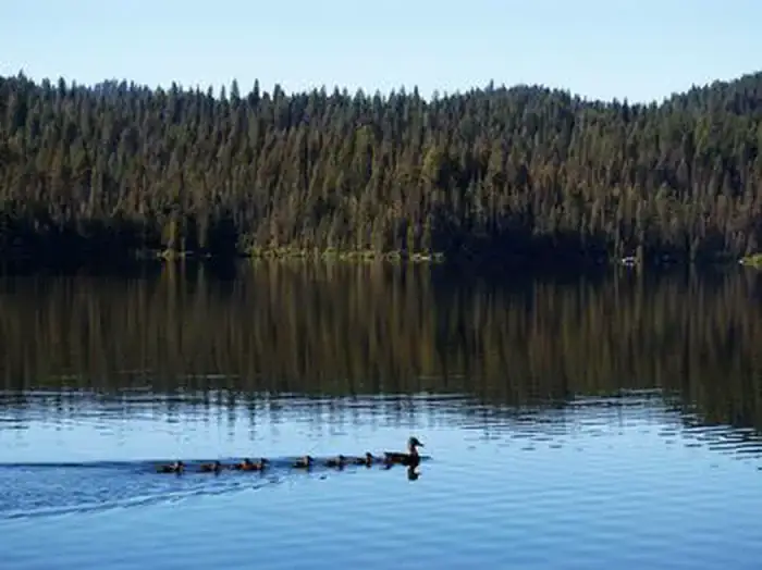 Camping near Big Eddy Campground: Sagehen Creek, Ola, Idaho