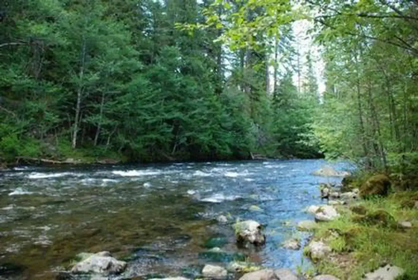 Camper-submitted photo at Riverside at Detroit Campground near Idanha, OR
