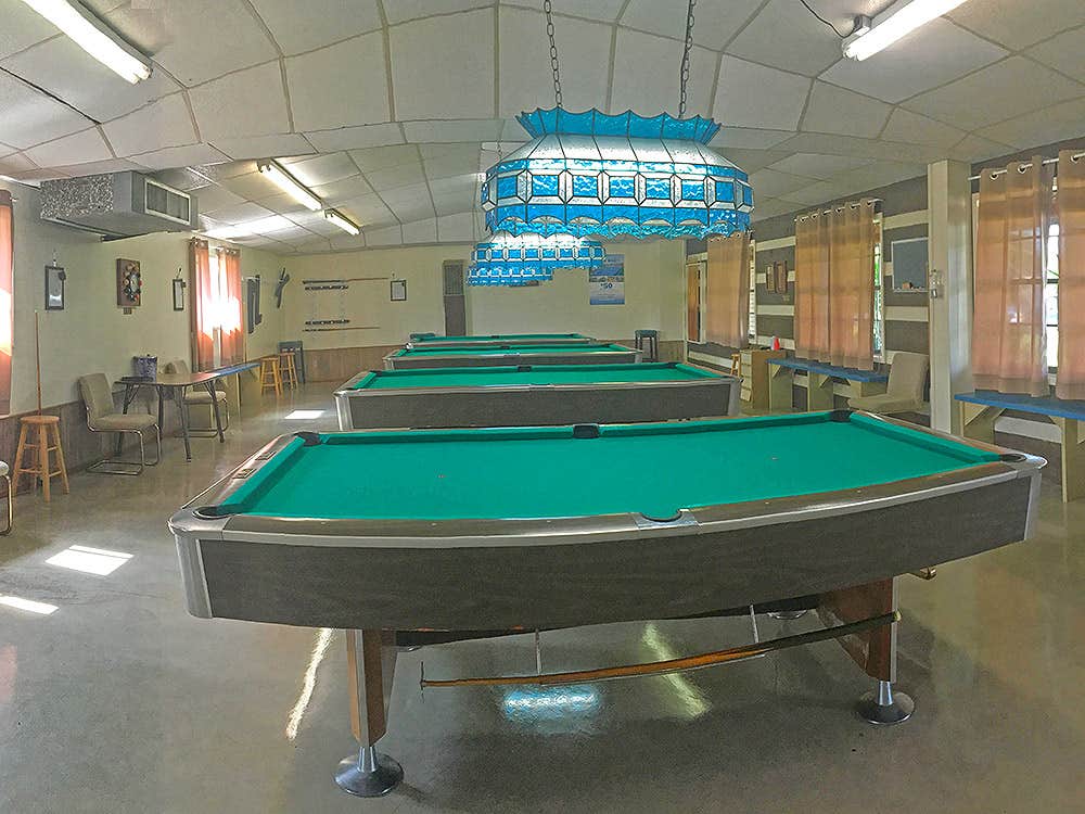 Camper-submitted photo at Encore Country Sunshine near Ratcliff, TX