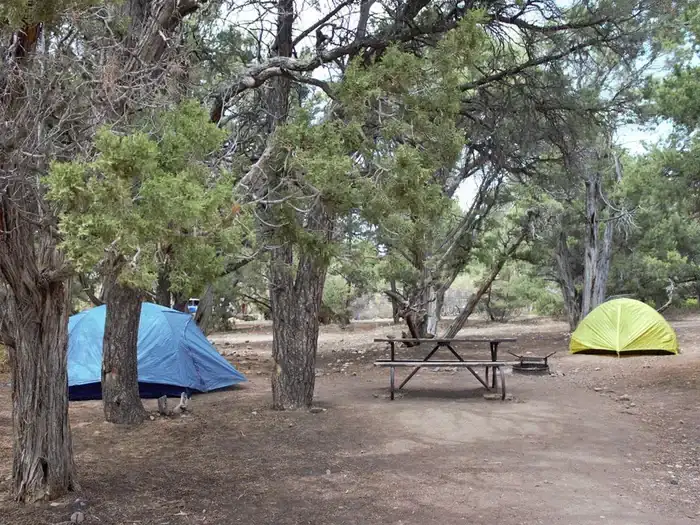 Camper-submitted photo at North Rim Campground — Black Canyon of the Gunnison National Park near Delta, CO