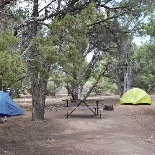 North Rim Campground — Black Canyon of the Gunnison National Park