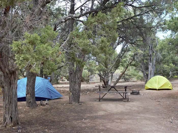 Camper submitted image from North Rim Campground — Black Canyon of the Gunnison National Park - 1