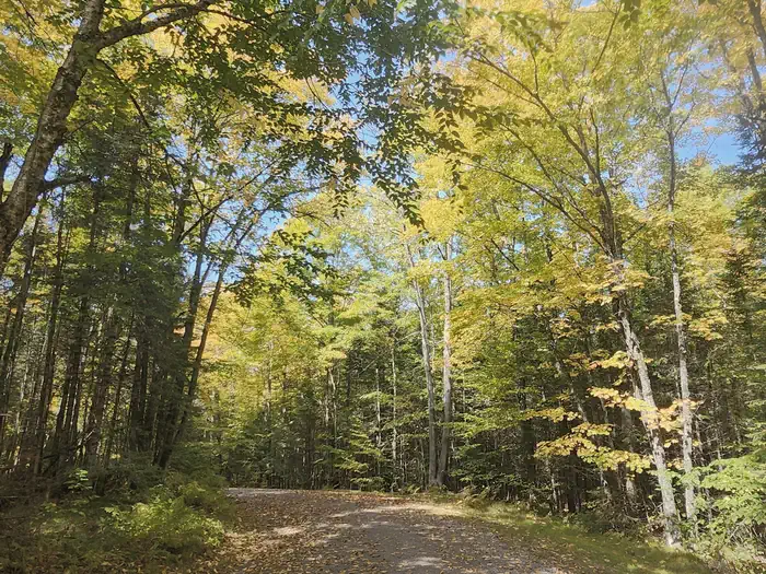 Camper-submitted photo at Chequamegon National Forest Beaver Lake Campground near Mellen, WI