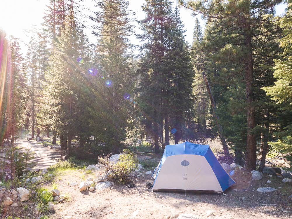 Lodgepole campground hotsell upper loop