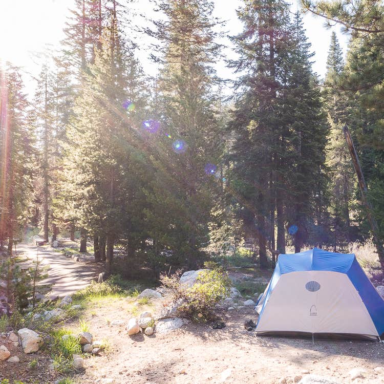 Lodgepole Campground Camping The Dyrt