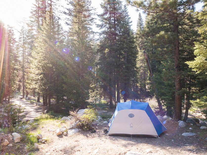 Lodgepole Campground Camping The Dyrt