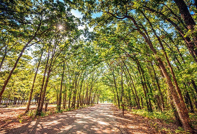Camper-submitted photo at Thousand Trails Lake Tawakoni near Rowlett, TX