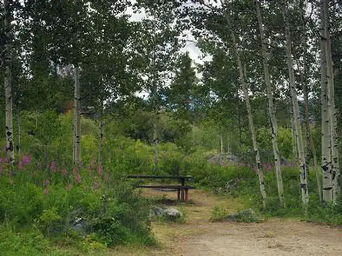 Camper-submitted photo at Narrows Campground near Cora, WY