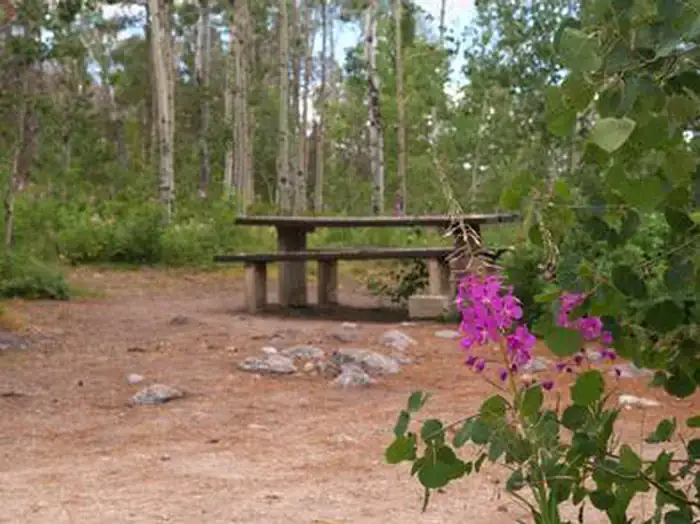 Camper-submitted photo at Narrows Campground near Cora, WY