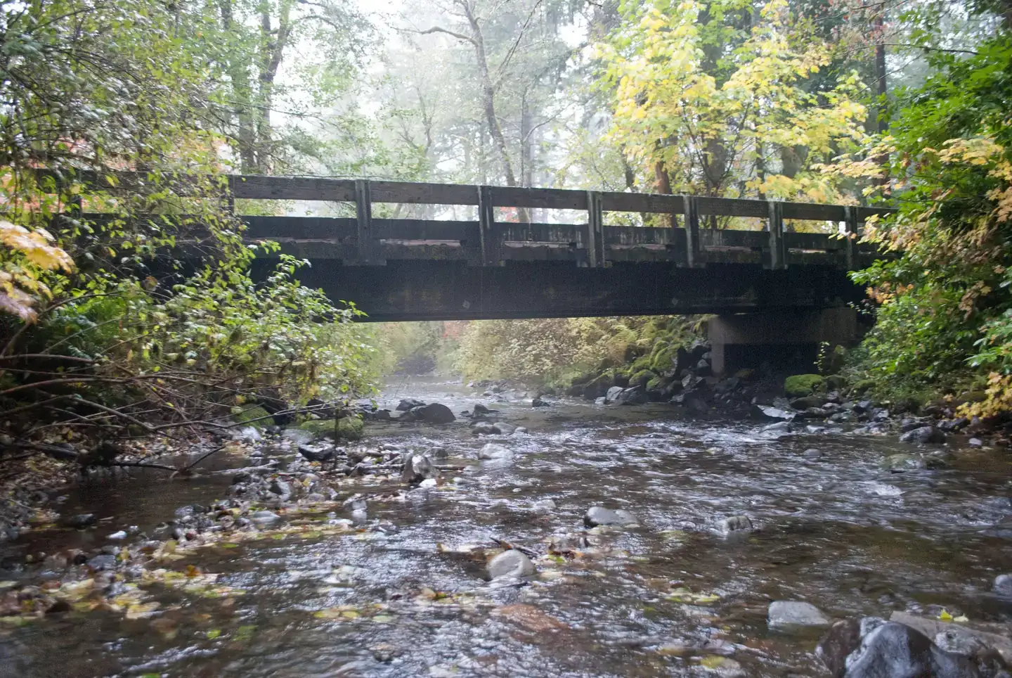 Camper-submitted photo at Big Creek Campground near Ashford, WA