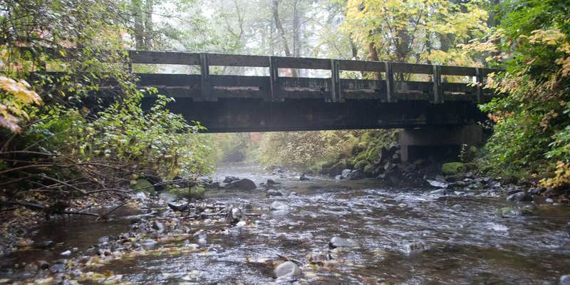 Camper submitted image from Big Creek Campground