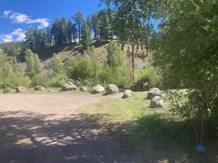 Camper-submitted photo at Bridge Campground - San Juan NF near Pagosa Springs, CO