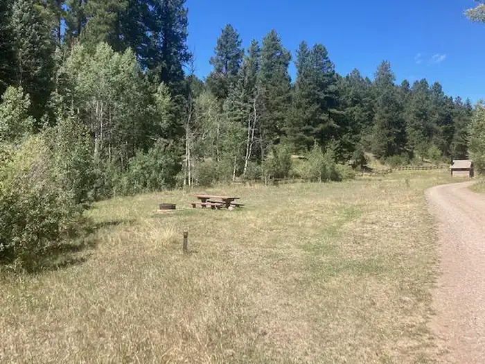 Camper-submitted photo at Bridge Campground - San Juan NF near Pagosa Springs, CO