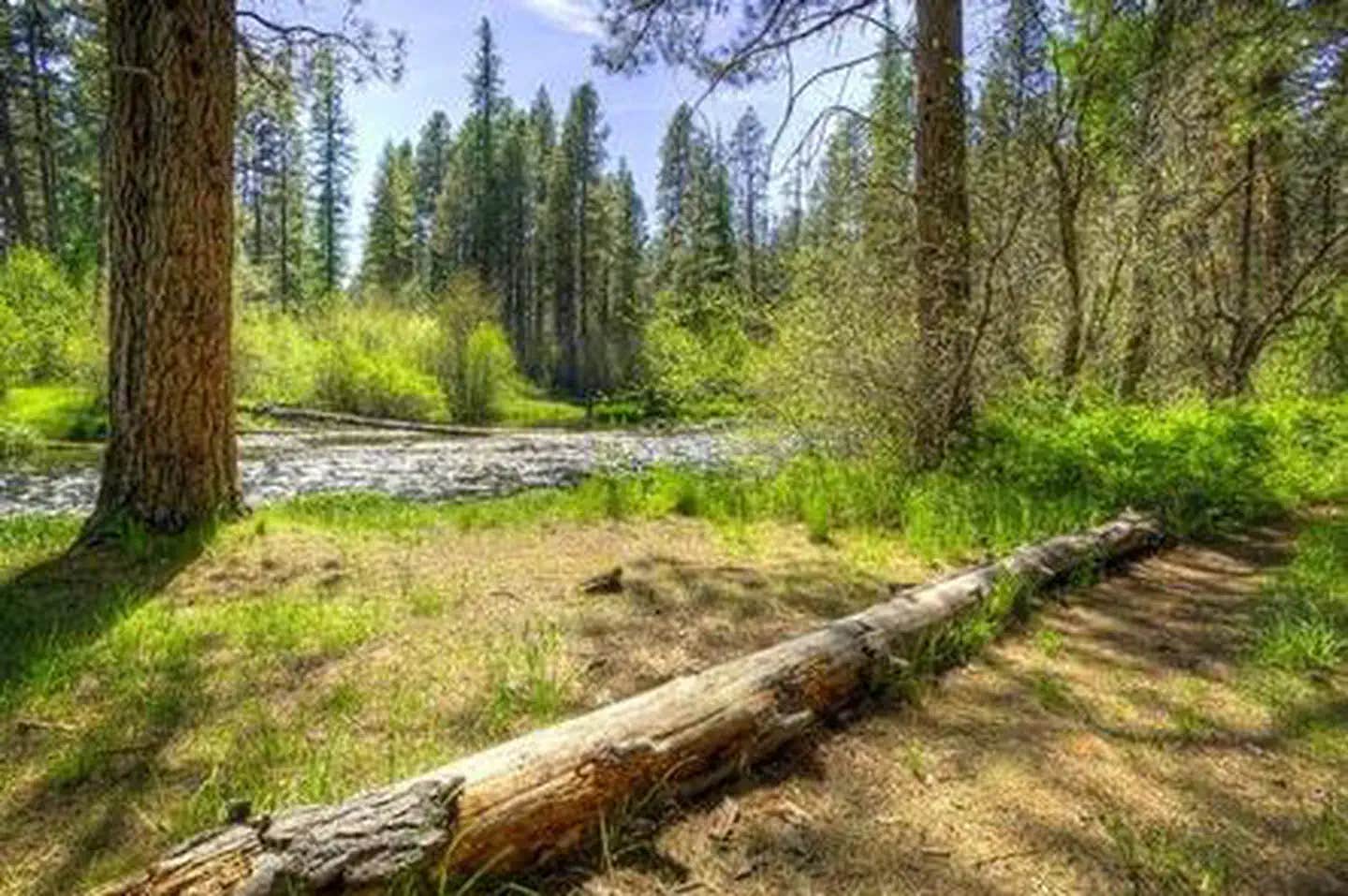 Camper submitted image from Gorge Campground - 1