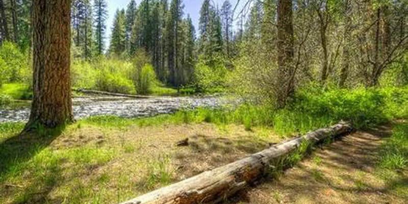 Camper submitted image from Gorge Campground