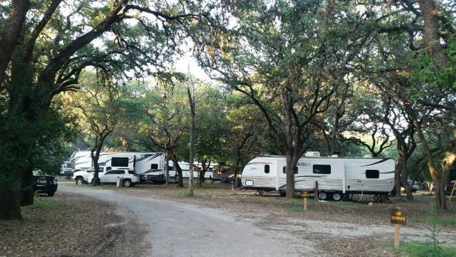 Camper submitted image from Thousand Trails Medina Lake - 3