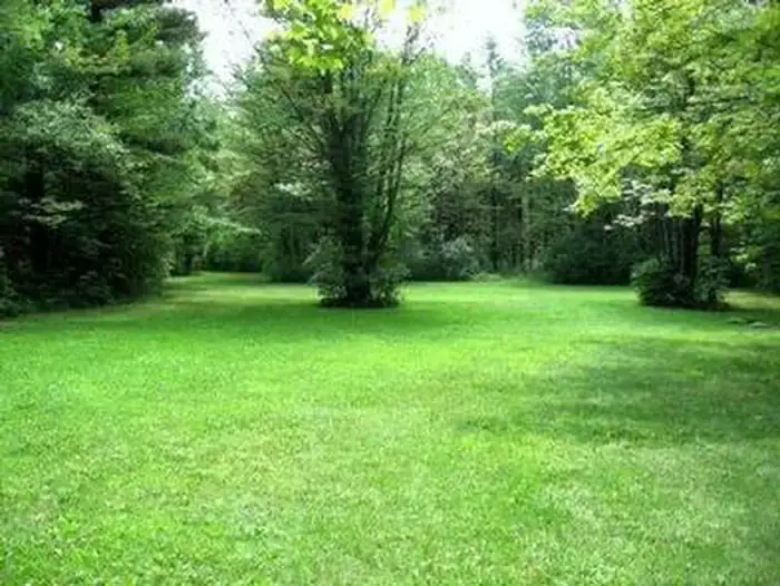 Camping near Cool Lea Camp LLC: Potomac Group Campground, Hector, New York