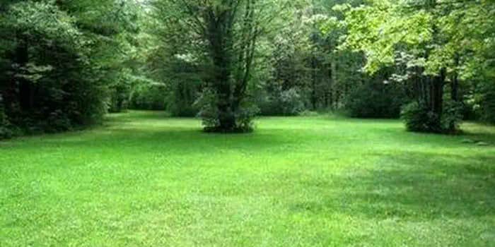 Camper submitted image from Potomac Group Campground