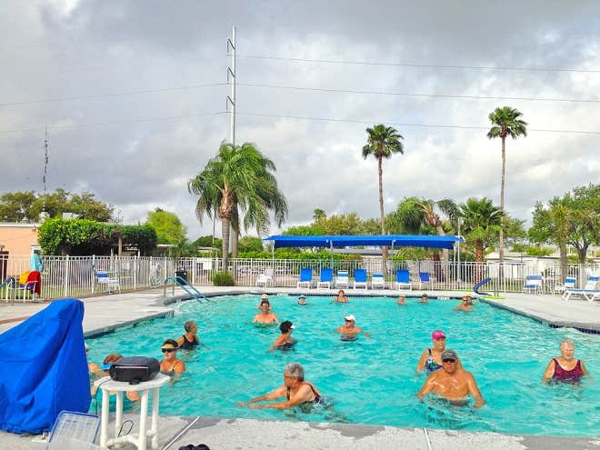 Camper-submitted photo at Encore Paradise Park near Harlingen, TX