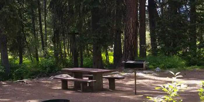 Camper submitted image from Boise National Forest Warm Lake Campground