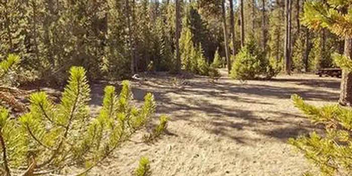 Camper submitted image from Chief Paulina Horse Camp